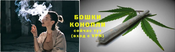 дживик Белокуриха