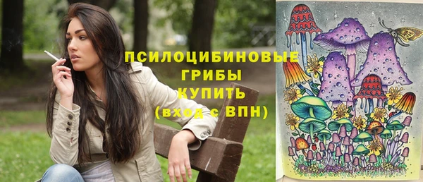 крисы Беломорск