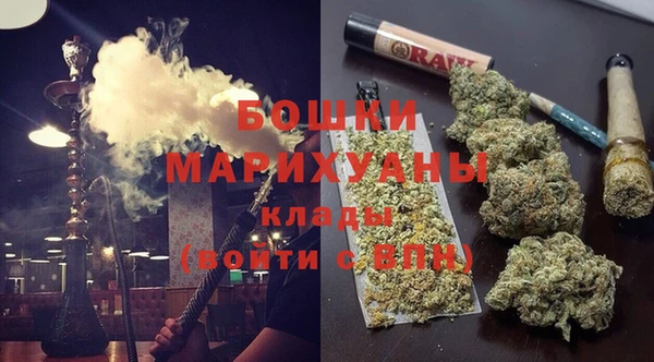 дживик Белокуриха