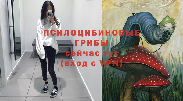 дживик Белокуриха
