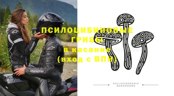 дживик Белокуриха