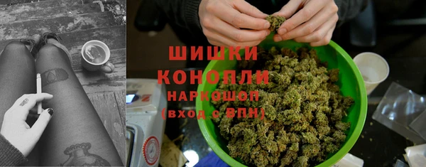 дживик Белокуриха