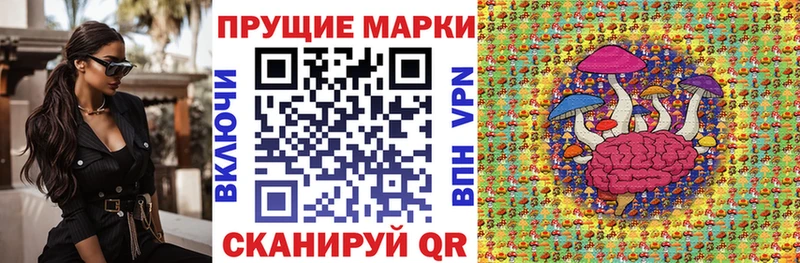 где продают наркотики Дигора Наркотические марки 1,8мг