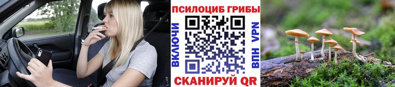 Галлюциногенные грибы прущие грибы Дигора